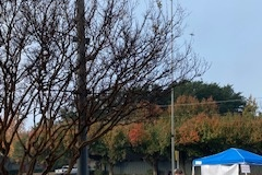 11_image